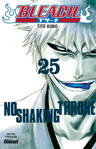 Bleach. Vol. 25. No shaking throne