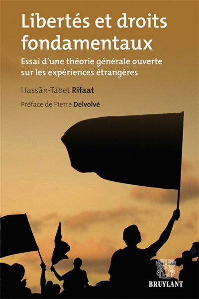 Libertés et droits fondamentaux : essai d'une théorie générale ouverte sur les expériences étrangères