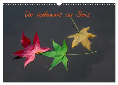 Un automne au Bois (Calendrier mural 2025 DIN A3 vertical), CALVENDO calendrier mensuel : Un automne dans le Bois de Boulogne.