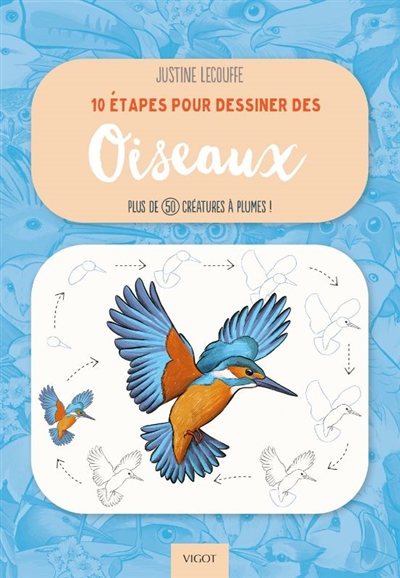 10 étapes pour dessiner des oiseaux : plus de 50 créatures à plumes !