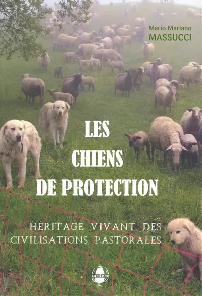 Les chiens de protection : héritage vivant des civilisations pastorales