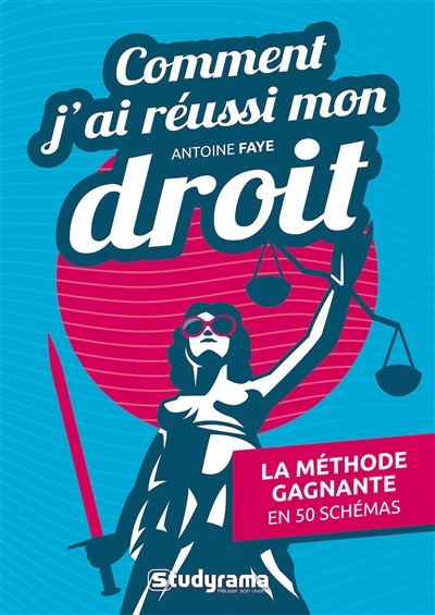 Comment j'ai réussi mon droit : la méthode gagnante en 50 schémas