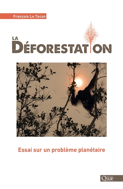 La déforestation : essai sur un problème planétaire