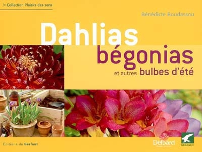 Dahlias, bégonias et autres bulbes d'été