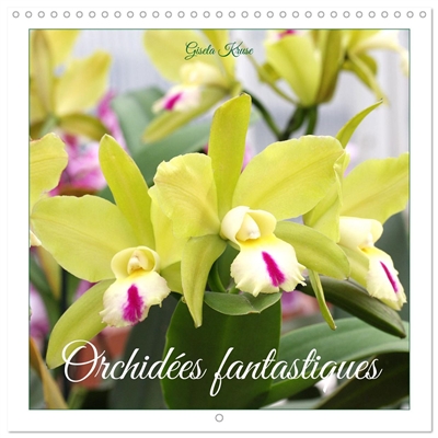 Orchidées fantastiques...