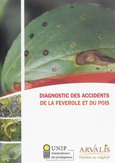 Diagnostic des accidents de la féverole et du pois