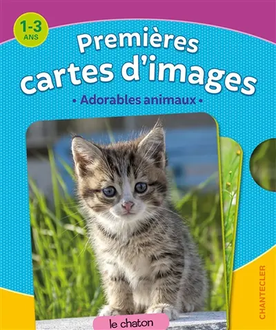 Adorables animaux : premières cartes d'images