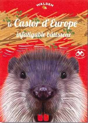 Le castor d'Europe : infatigable bâtisseur