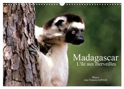 Madagascar L'île aux merveilles (Calendrier mural 2026 DIN A3 vertical), CALVENDO calendrier mensuel : Scènes de vie malgache
