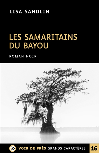 Les samaritains du bayou : roman noir