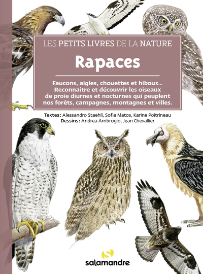 Rapaces : faucons, aigles, chouettes et hiboux... : reconnaître et découvrir les oiseaux de proie diurnes et nocturnes qui peuplent nos forêts, campagnes, montagnes et villes