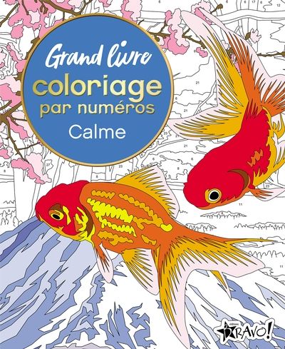 Grand livre de coloriage par numéros : Calme