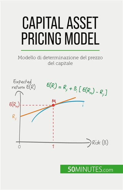 Capital Asset Pricing Model...