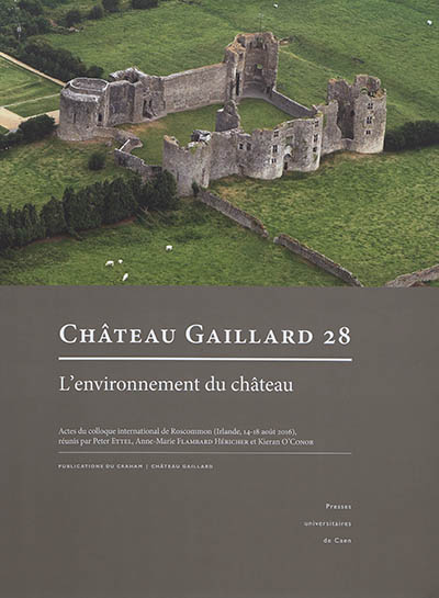 Château-Gaillard : études de castellologie médiévale. Vol. 28. L'environnement du château : actes du colloque international de Roscommon (Irlande, 14-18 août 2016)