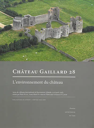 Château-Gaillard : études de castellologie médiévale. Vol. 28. L'environnement du château : actes du colloque international de Roscommon (Irlande, 14-18 août 2016)