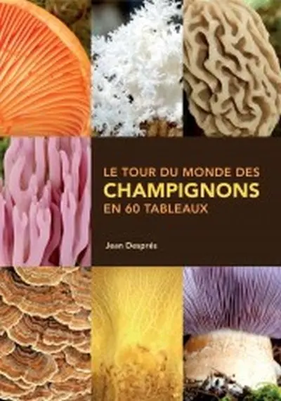 Le tour du monde des champignons en 60 tableaux