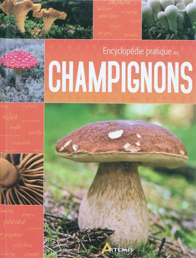 Encyclopédie pratique des champignons