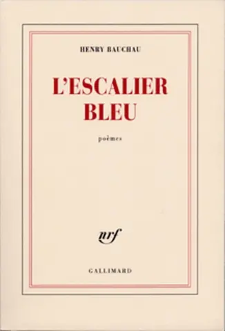 L'escalier bleu