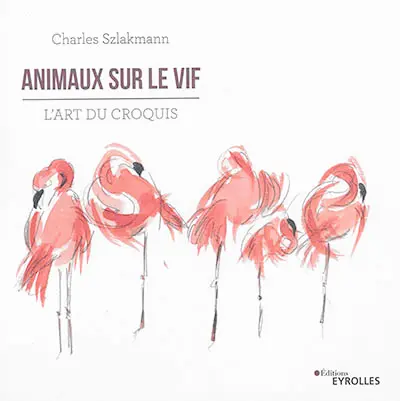 Animaux sur le vif : l'art du croquis