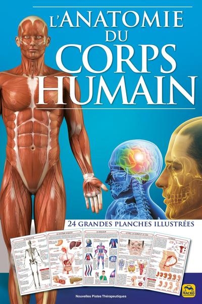 L'anatomie du corps humain : 24 grandes planches illustrées