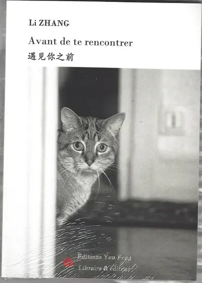 Avant de te rencontrer