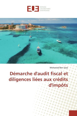 Démarche d'audit fiscal et...