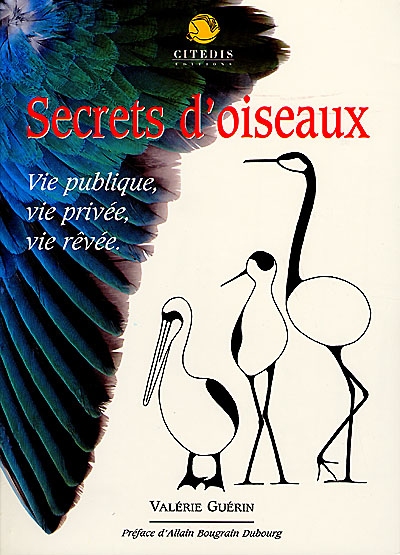 Secrets d'oiseaux : vie publique, vie privée, vie rêvée