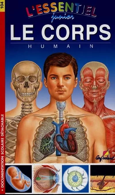 Le corps humain