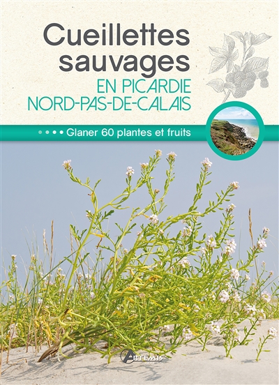 Cueillettes sauvages en Picardie-Nord-Pas-de-Calais : glaner 60 plantes et fruits