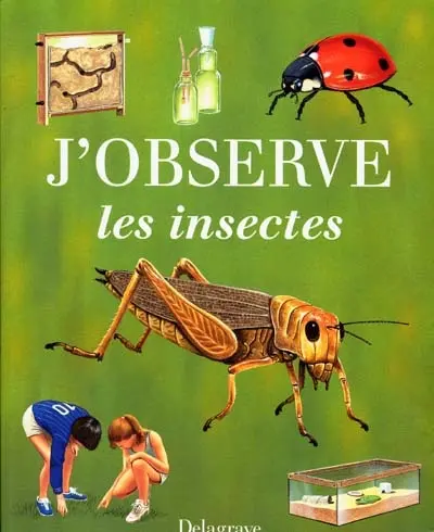 J'observe les insectes : fourmis, mouches, grillons