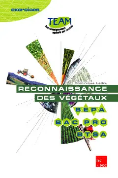 Reconnaissance des végétaux : cahier d'activités (réalisation d'un herbier)