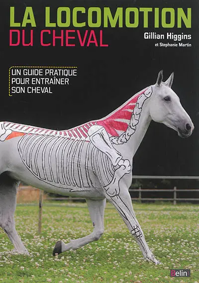 La locomotion du cheval : un guide pratique pour entraîner son cheval