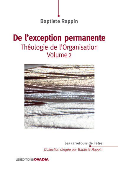 Théologie de l'organisation. Vol. 2. De l'exception permanente