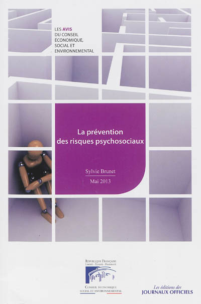 La prévention des risques psychosociaux : mandature 2010-2015, séance du 14 mai 2013
