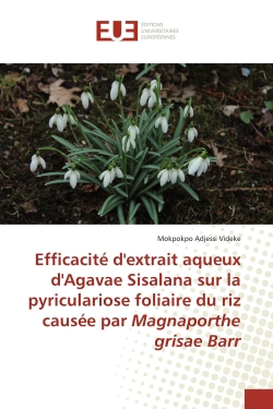 Efficacité d'extrait aqueux...