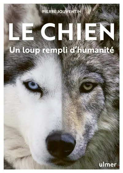 Le chien : un loup rempli d'humanité