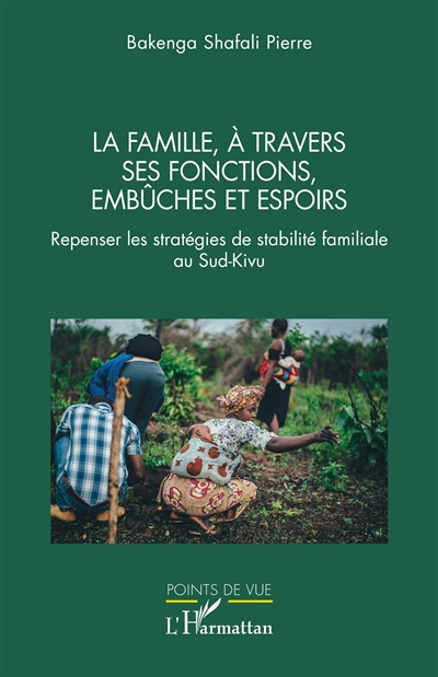 La famille, à travers ses fonctions, embûches et espoirs : repenser les stratégies de stabilité familiale au Sud-Kivu