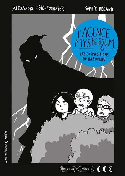 Les disparitions de Babouche 2