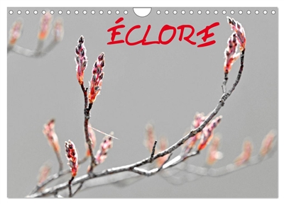 ECLORE (Calendrier mural 2025 DIN A4 vertical), CALVENDO calendrier mensuel : La nature sauvage en éclosion