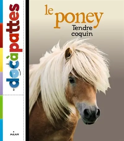 Le poney, tendre coquin