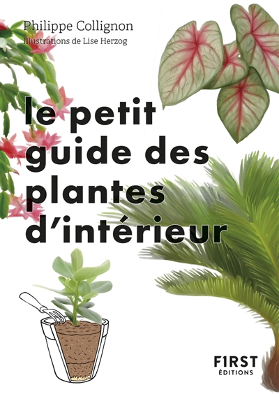 Le petit guide des plantes d'intérieur : 70 variétés pour embellir son intérieur