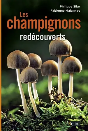 Les champignons redécouverts