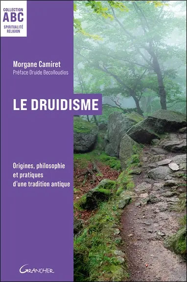 Le druidisme : origines, philosophie et pratiques d'une tradition antique