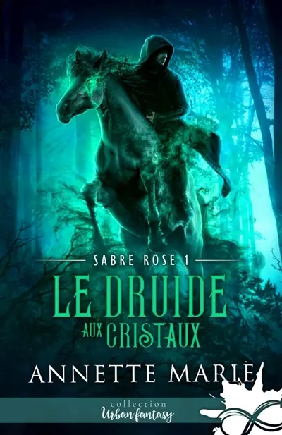 Le Druide aux cristaux : Sabre Rose, T1