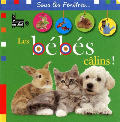 Les bébés câlins !