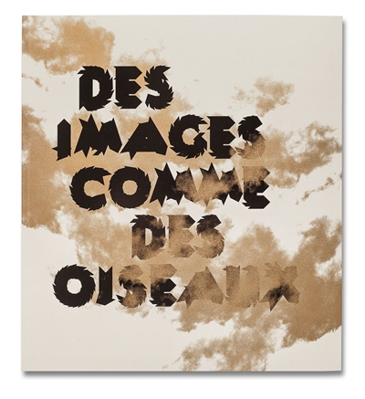Des images comme des oiseaux : une traversée dans la collection photographique du Cnap, un regard de Patrick Tosani, artiste associé Pierre Giner : Marseille, Friche de la Belle de Mai du 5 juillet au 30 septembre 2013