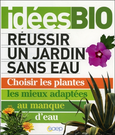 Réussir un jardin sans eau : choisir les plantes les mieux adaptées au manque d'eau