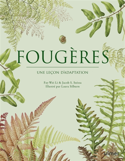 Fougères : une leçon...