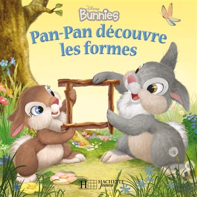 Pan-pan découvre les formes