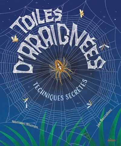 Toiles d'araignées : techniques secrètes